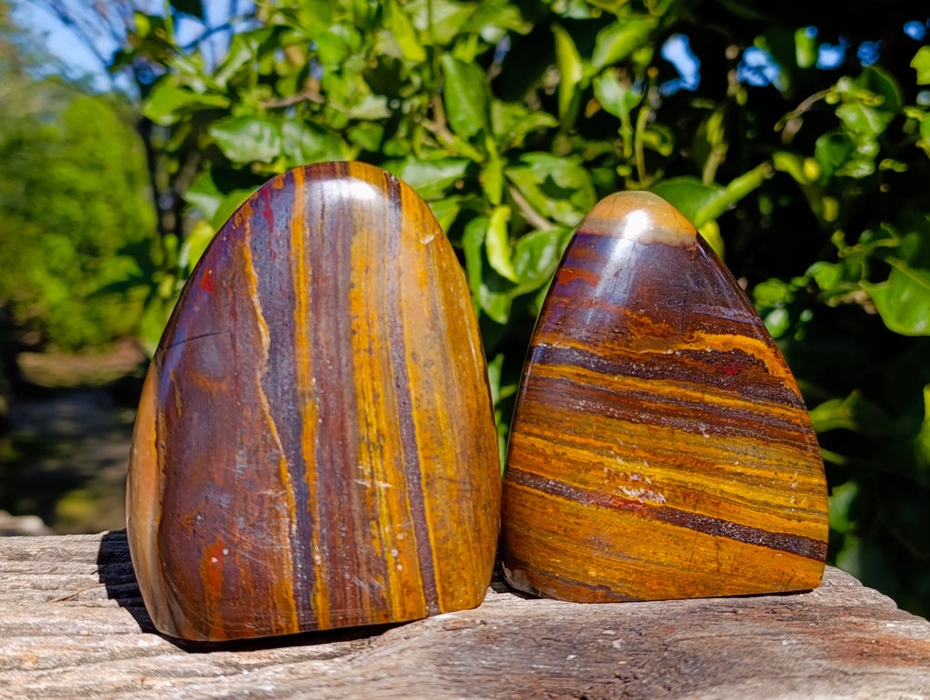 Polished Banded Tiger Iron with Tigers Eye Standing Free Forms x 2 From South Africa - Toprock Gemstones and Minerals 