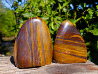 Polished Banded Tiger Iron with Tigers Eye Standing Free Forms x 2 From South Africa