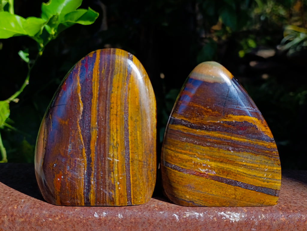 Polished Banded Tiger Iron with Tigers Eye Standing Free Forms x 2 From South Africa - Toprock Gemstones and Minerals 