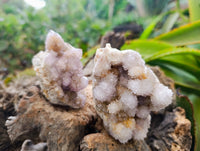 Natural Ametrine Spirit Quartz Clusters x 6 From Boekenhouthoek, South Africa