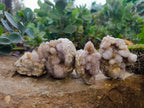 Natural Ametrine Spirit Quartz Clusters x 6 From Boekenhouthoek, South Africa - Toprock Gemstones and Minerals 