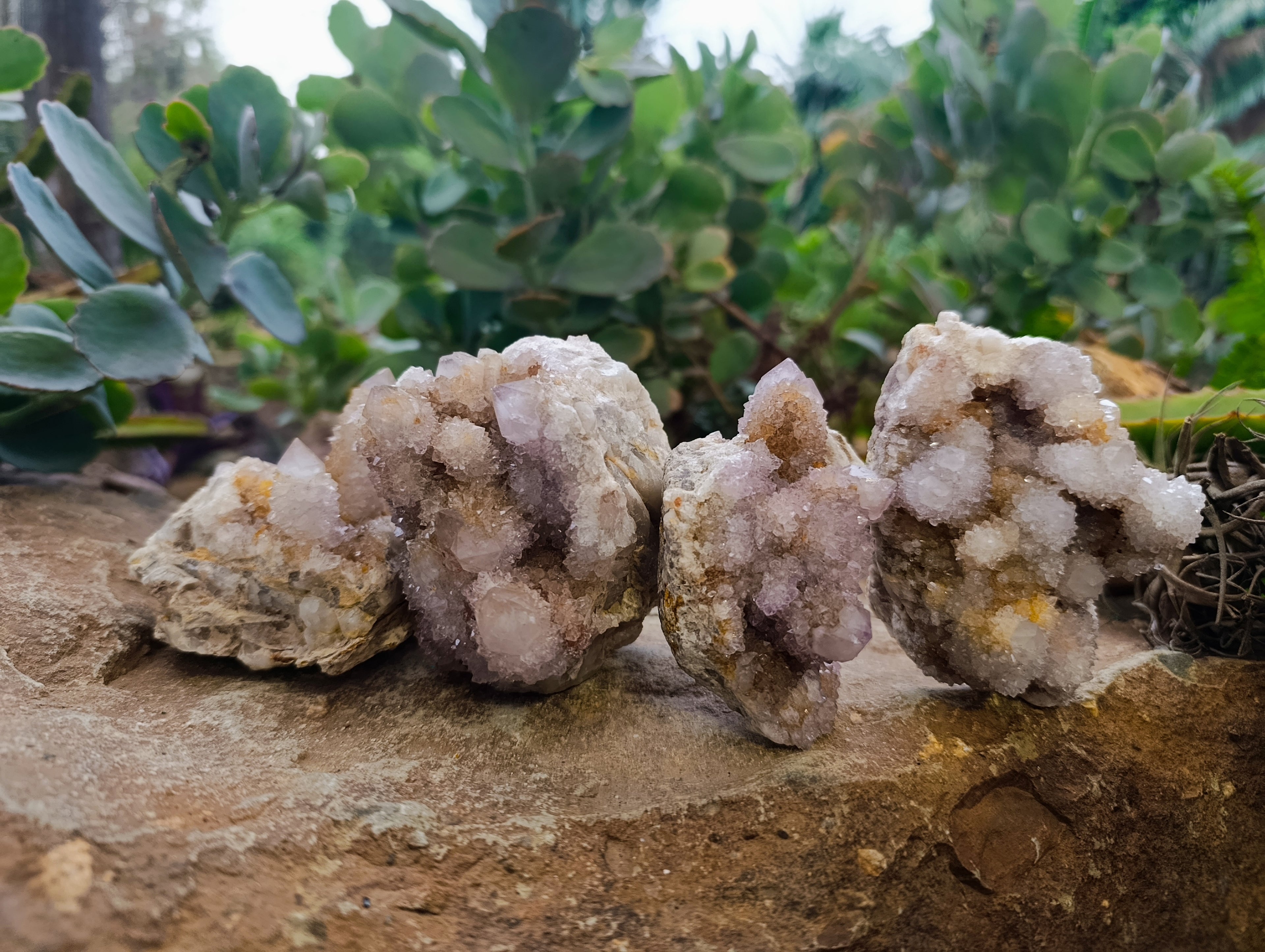 Natural Ametrine Spirit Quartz Clusters x 6 From Boekenhouthoek, South Africa - Toprock Gemstones and Minerals 