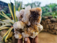 Natural Ametrine Spirit Quartz Clusters x 6 From Boekenhouthoek, South Africa