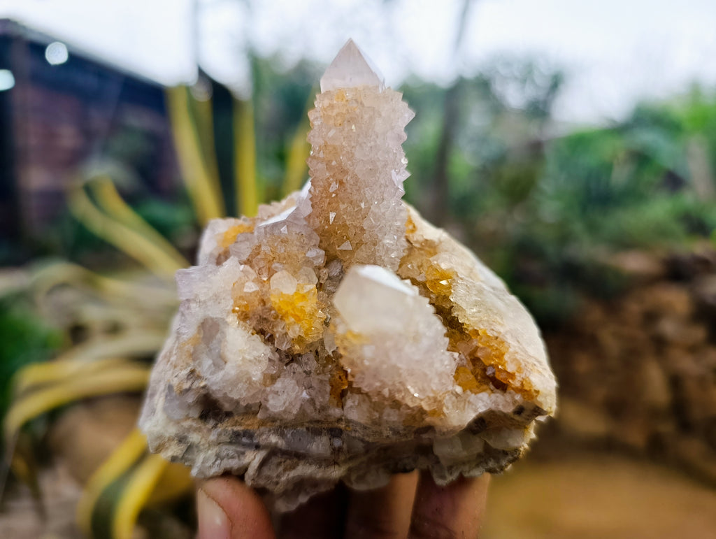 Natural Ametrine Spirit Quartz Clusters x 6 From Boekenhouthoek, South Africa - Toprock Gemstones and Minerals 