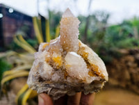 Natural Ametrine Spirit Quartz Clusters x 6 From Boekenhouthoek, South Africa