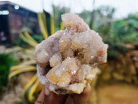 Natural Ametrine Spirit Quartz Clusters x 6 From Boekenhouthoek, South Africa