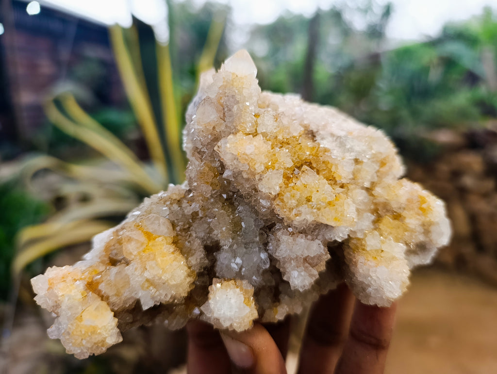 Natural Ametrine Spirit Quartz Clusters x 6 From Boekenhouthoek, South Africa - Toprock Gemstones and Minerals 