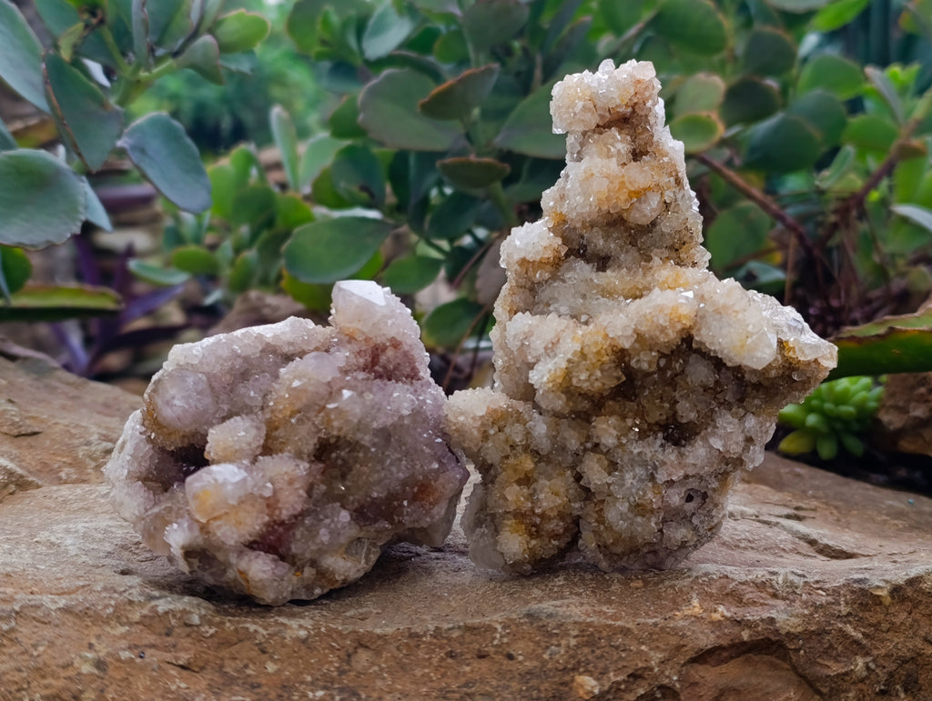 Natural Ametrine Spirit Quartz Clusters x 6 From Boekenhouthoek, South Africa - Toprock Gemstones and Minerals 