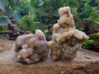 Natural Ametrine Spirit Quartz Clusters x 6 From Boekenhouthoek, South Africa - Toprock Gemstones and Minerals 