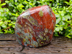 Polished Bastite Dragons Blood Stone Standing Free Form x 1 From Tshipise, South Africa - Toprock Gemstones and Minerals 