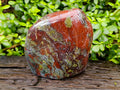 Polished Bastite Dragons Blood Stone Standing Free Form x 1 From Tshipise, South Africa - Toprock Gemstones and Minerals 