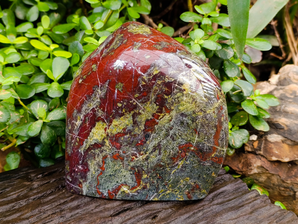 Polished Bastite Dragons Blood Stone Standing Free Form x 1 From Tshipise, South Africa - Toprock Gemstones and Minerals 