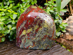 Polished Bastite Dragons Blood Stone Standing Free Form x 1 From Tshipise, South Africa - Toprock Gemstones and Minerals 