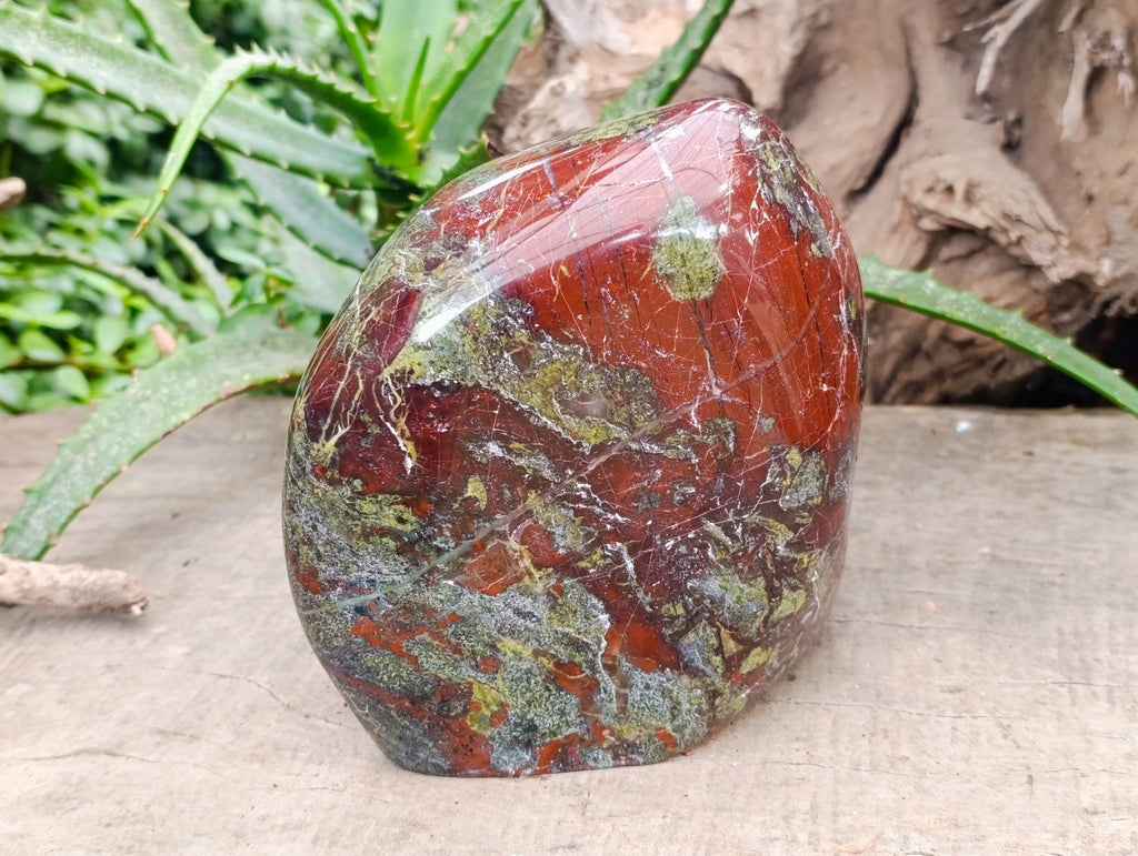 Polished Bastite Dragons Blood Stone Standing Free Form x 1 From Tshipise, South Africa - Toprock Gemstones and Minerals 