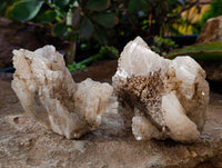 Natural Drusy Quartz Coated Calcite Pseudomorph Specimens x 6 From Alberts Mountain, Lesotho