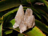 Natural Drusy Quartz Coated Calcite Pseudomorph Specimens x 6 From Alberts Mountain, Lesotho