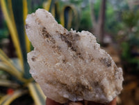 Natural Drusy Quartz Coated Calcite Pseudomorph Specimens x 6 From Alberts Mountain, Lesotho