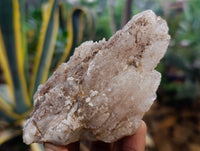 Natural Drusy Quartz Coated Calcite Pseudomorph Specimens x 6 From Alberts Mountain, Lesotho