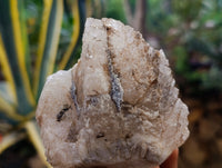Natural Drusy Quartz Coated Calcite Pseudomorph Specimens x 6 From Alberts Mountain, Lesotho