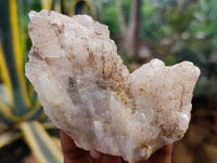 Natural Drusy Quartz Coated Calcite Pseudomorph Specimens x 6 From Alberts Mountain, Lesotho