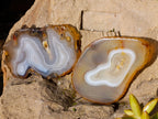 Polished Banded Agate Slices x 12 From Madagascar - Toprock Gemstones and Minerals 