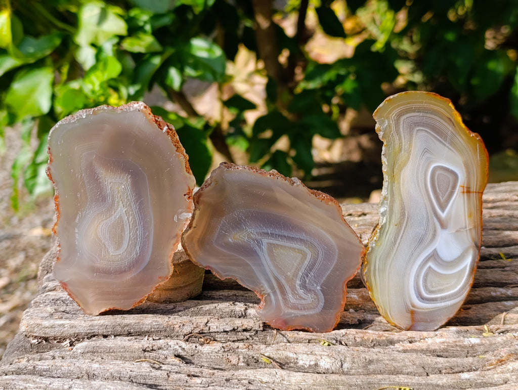 Polished Banded Agate Slices x 12 From Madagascar - Toprock Gemstones and Minerals 