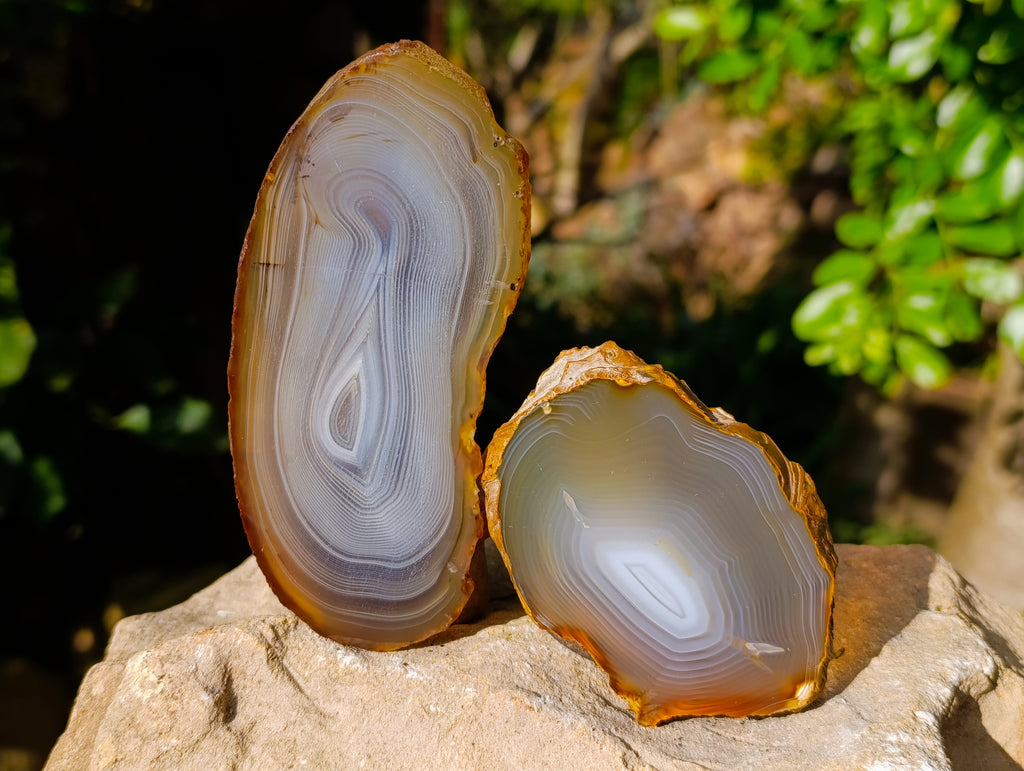 Polished Banded Agate Slices x 12 From Madagascar - Toprock Gemstones and Minerals 