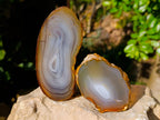 Polished Banded Agate Slices x 12 From Madagascar - Toprock Gemstones and Minerals 