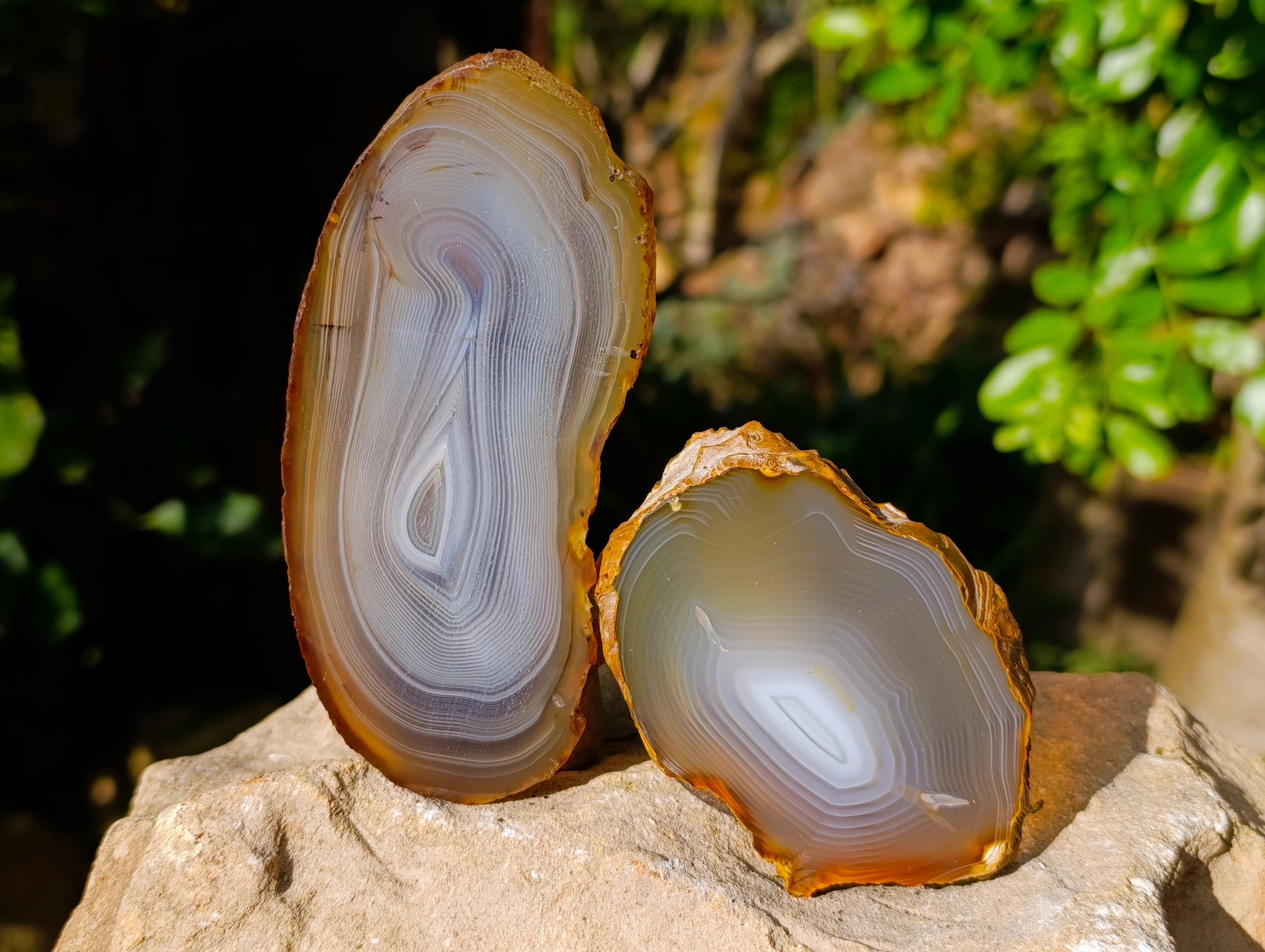 Polished Banded Agate Slices x 12 From Madagascar - Toprock Gemstones and Minerals 
