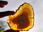 Polished Banded Agate Slices x 12 From Madagascar - Toprock Gemstones and Minerals 