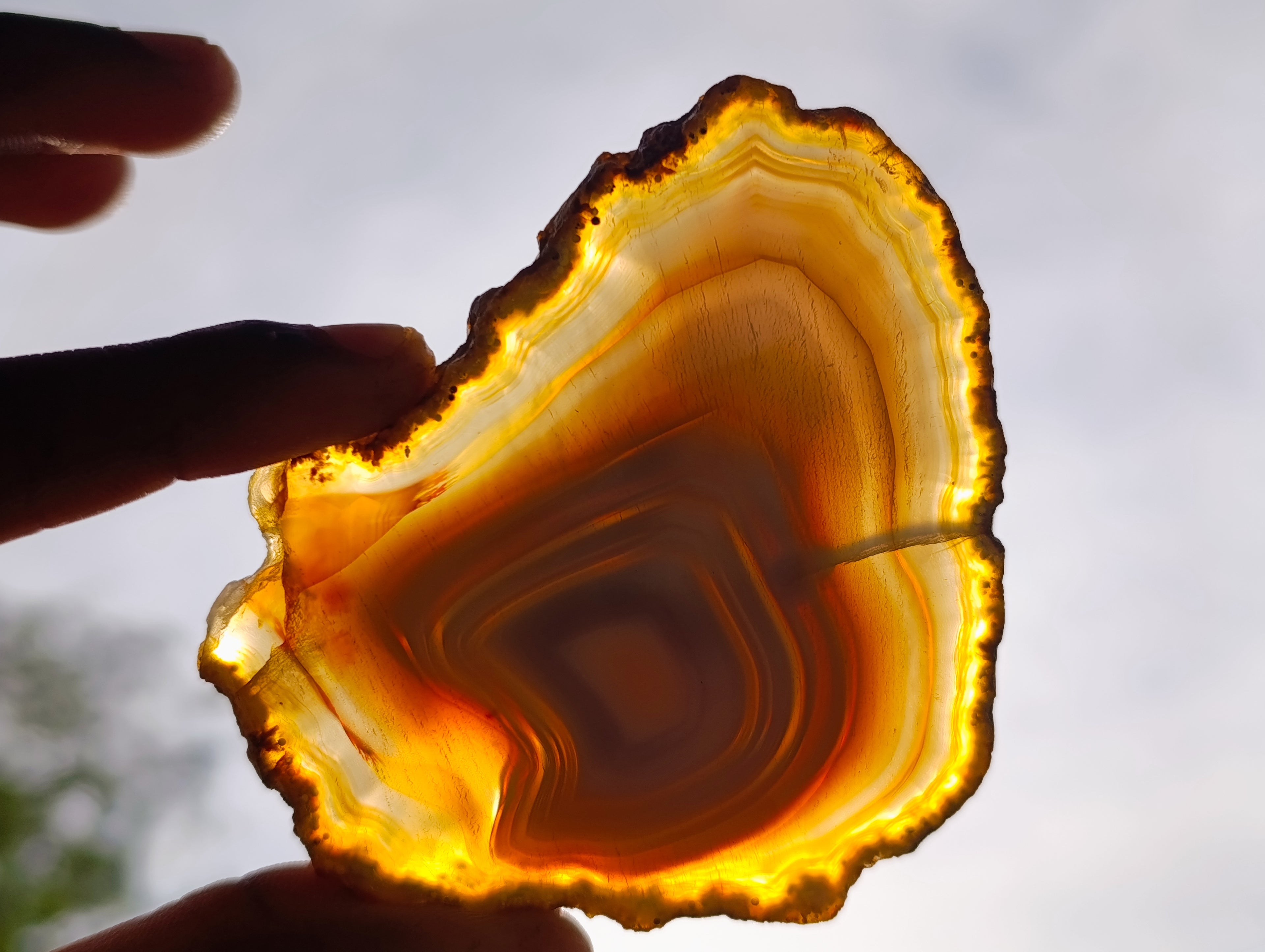 Polished Banded Agate Slices x 12 From Madagascar - Toprock Gemstones and Minerals 
