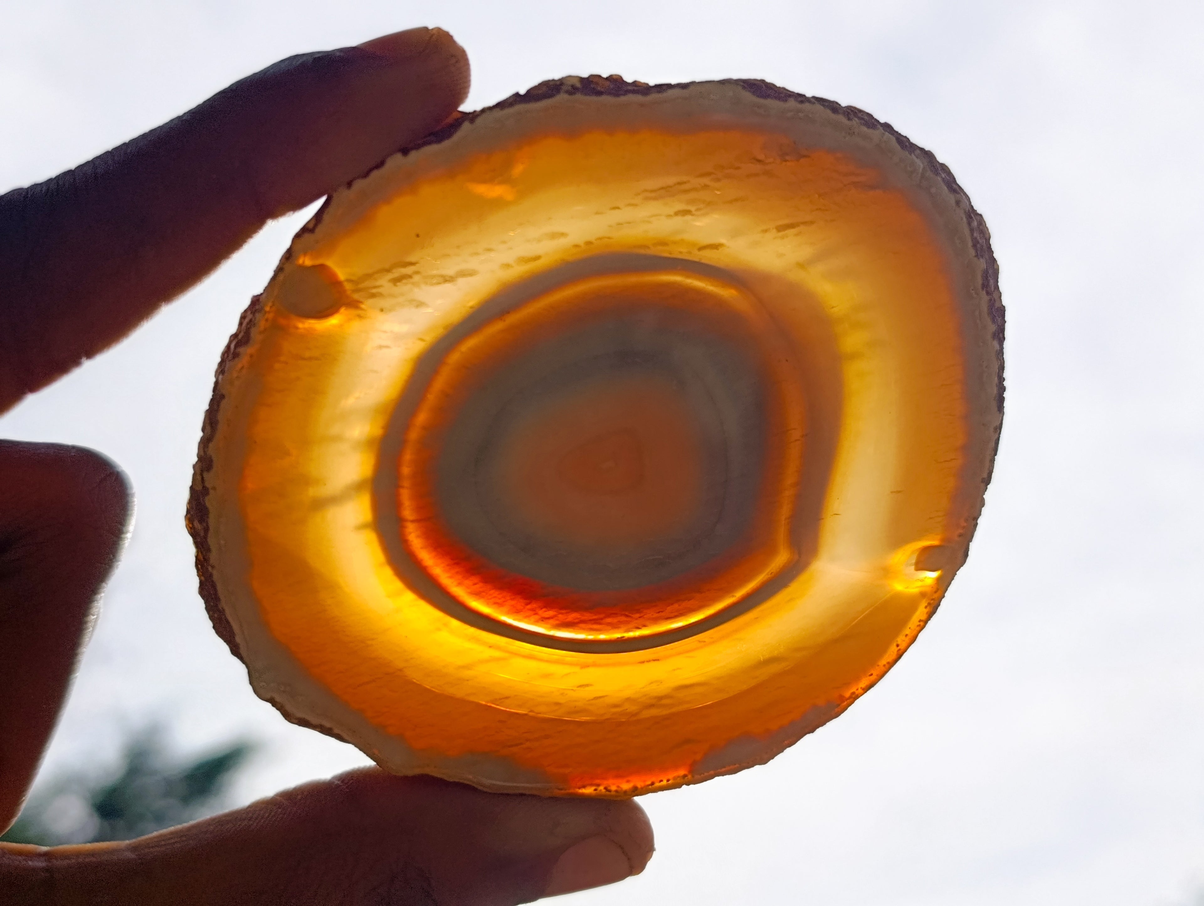 Polished Banded Agate Slices x 12 From Madagascar - Toprock Gemstones and Minerals 