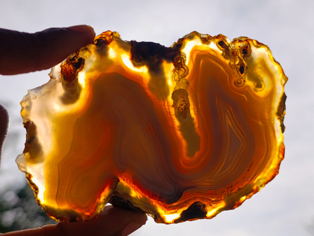 Polished Banded Agate Slices x 12 From Madagascar - Toprock Gemstones and Minerals 