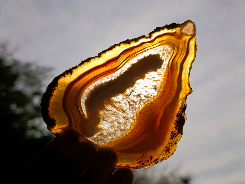 Polished Banded Agate Slices x 12 From Madagascar - Toprock Gemstones and Minerals 