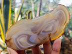 Polished Banded Agate Slices x 12 From Madagascar - Toprock Gemstones and Minerals 