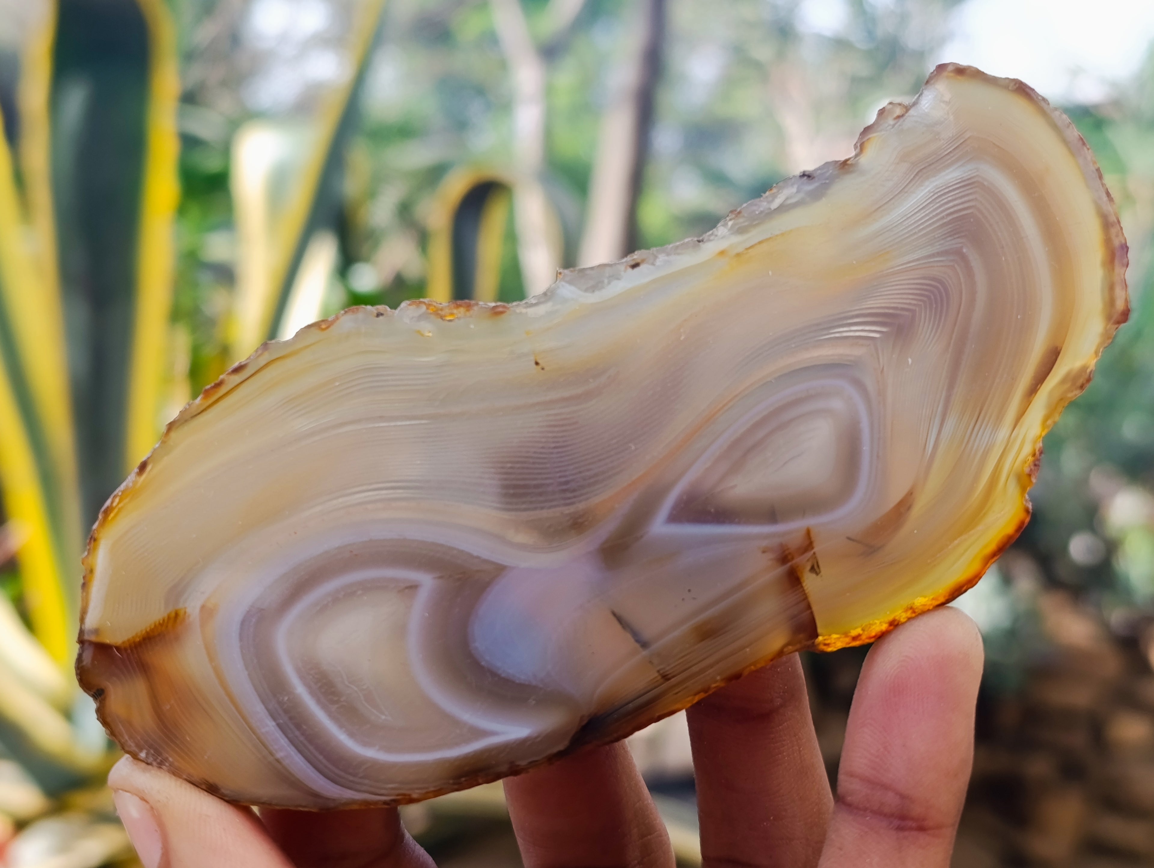 Polished Banded Agate Slices x 12 From Madagascar - Toprock Gemstones and Minerals 