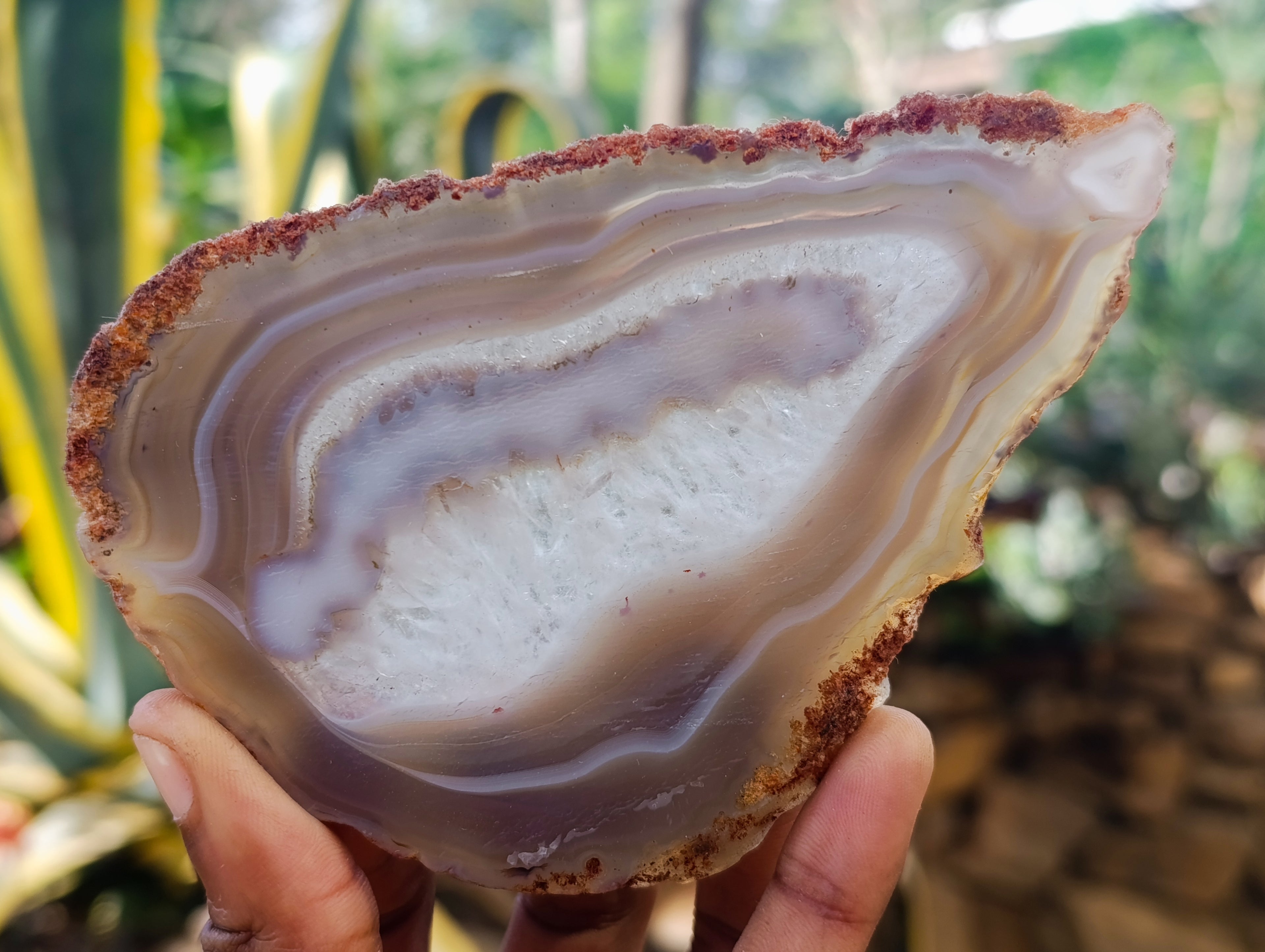 Polished Banded Agate Slices x 12 From Madagascar - Toprock Gemstones and Minerals 