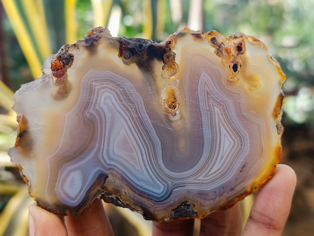 Polished Banded Agate Slices x 12 From Madagascar - Toprock Gemstones and Minerals 