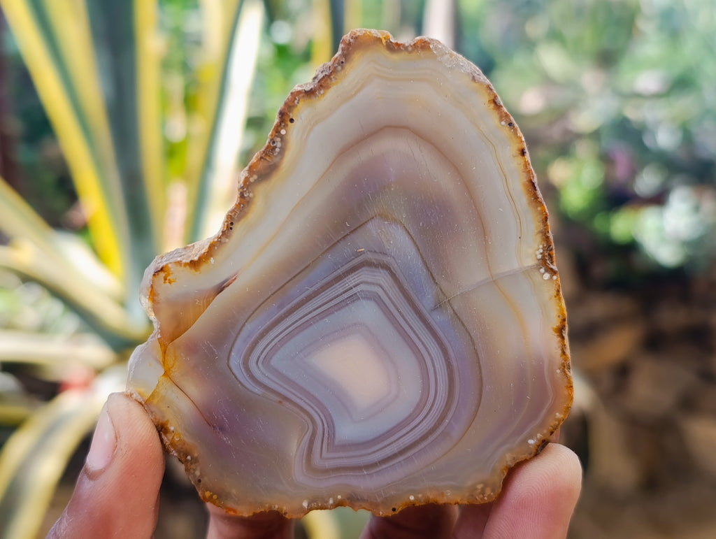Polished Banded Agate Slices x 12 From Madagascar - Toprock Gemstones and Minerals 