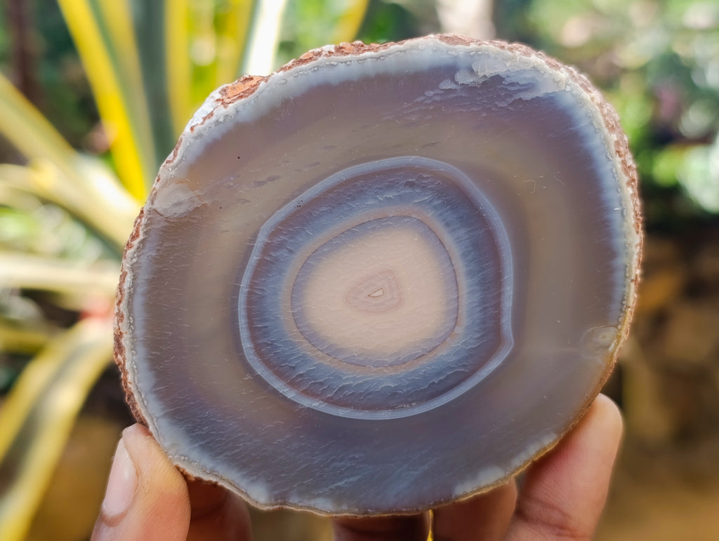 Polished Banded Agate Slices x 12 From Madagascar - Toprock Gemstones and Minerals 