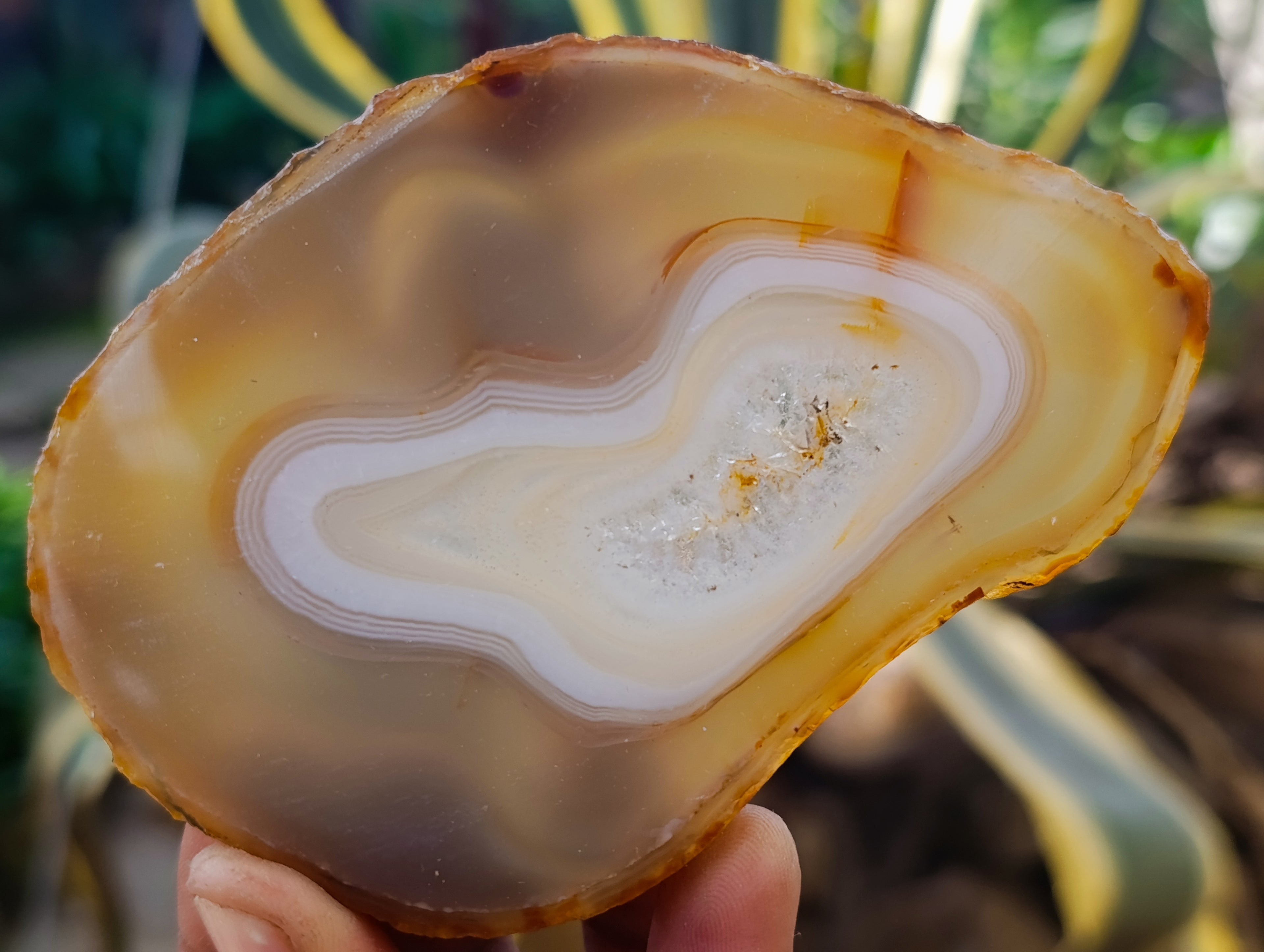 Polished Banded Agate Slices x 12 From Madagascar - Toprock Gemstones and Minerals 