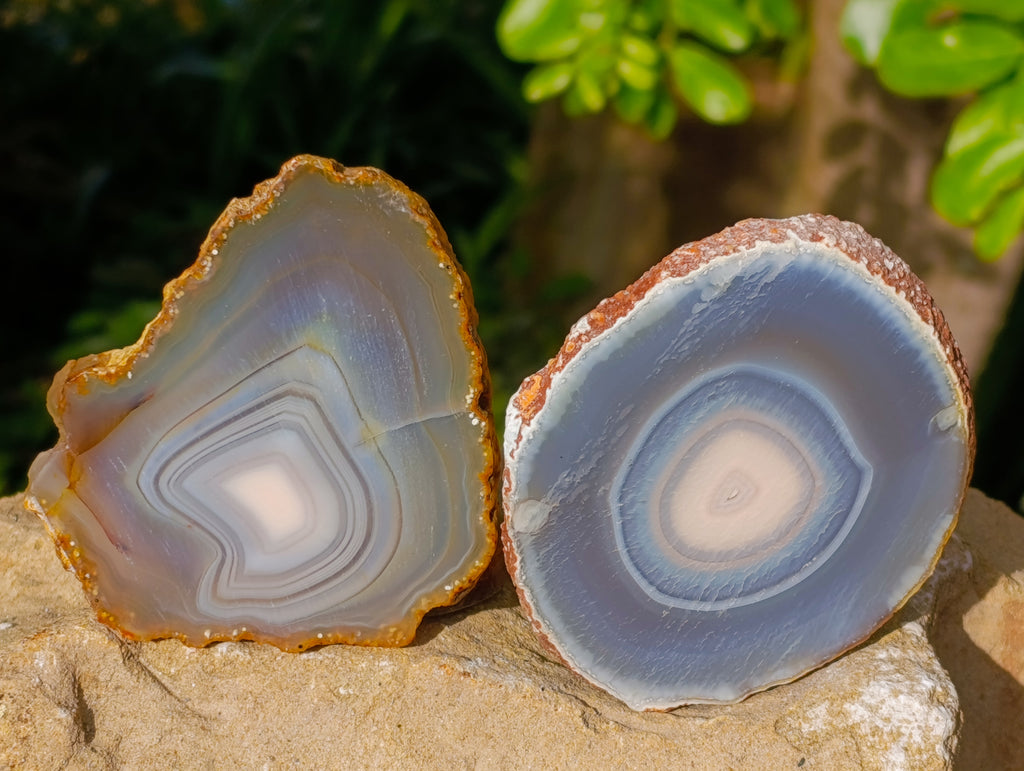 Polished Banded Agate Slices x 12 From Madagascar - Toprock Gemstones and Minerals 