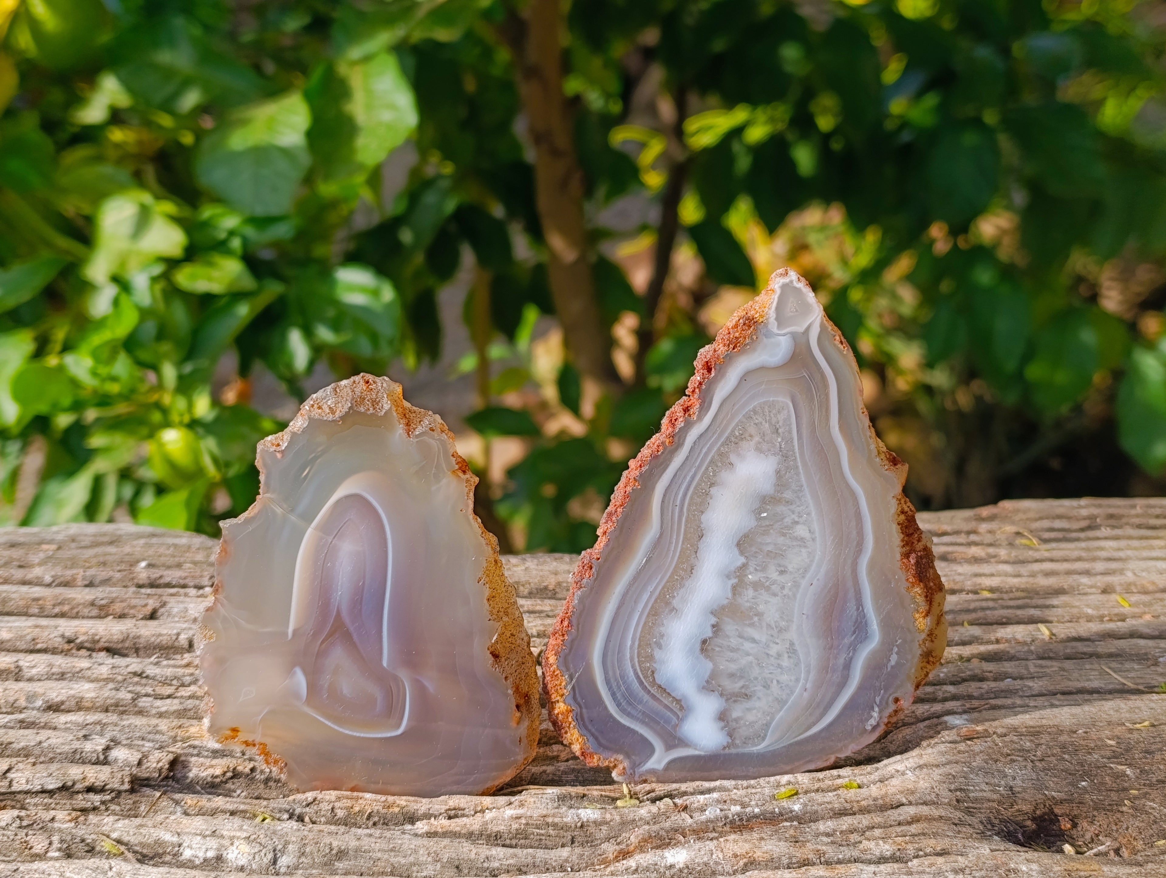 Polished Banded Agate Slices x 12 From Madagascar - Toprock Gemstones and Minerals 