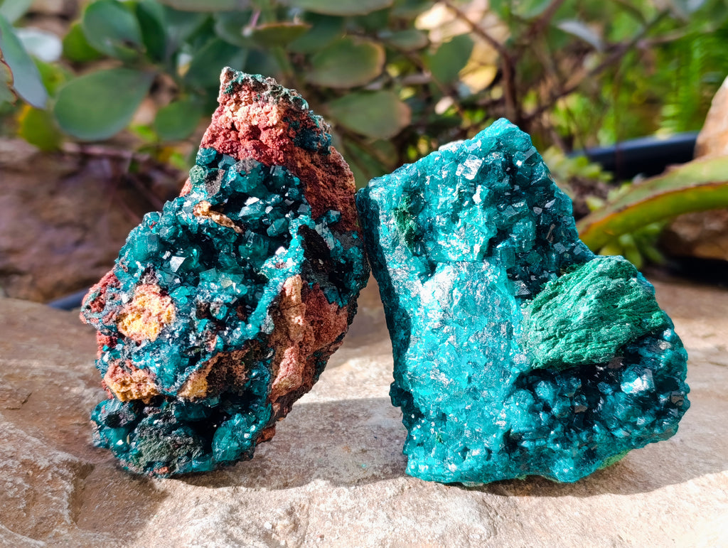 Natural Dioptase On Dolomite with Malachite Specimens x 2 From Likasi, Congo - Toprock Gemstones and Minerals 