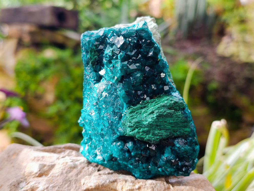 Natural Dioptase On Dolomite with Malachite Specimens x 2 From Likasi, Congo - Toprock Gemstones and Minerals 