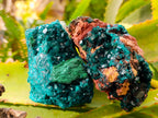 Natural Dioptase On Dolomite with Malachite Specimens x 2 From Likasi, Congo - Toprock Gemstones and Minerals 