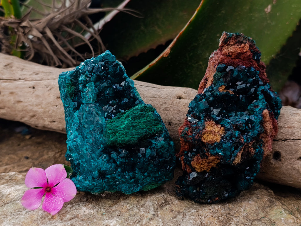 Natural Dioptase On Dolomite with Malachite Specimens x 2 From Likasi, Congo - Toprock Gemstones and Minerals 
