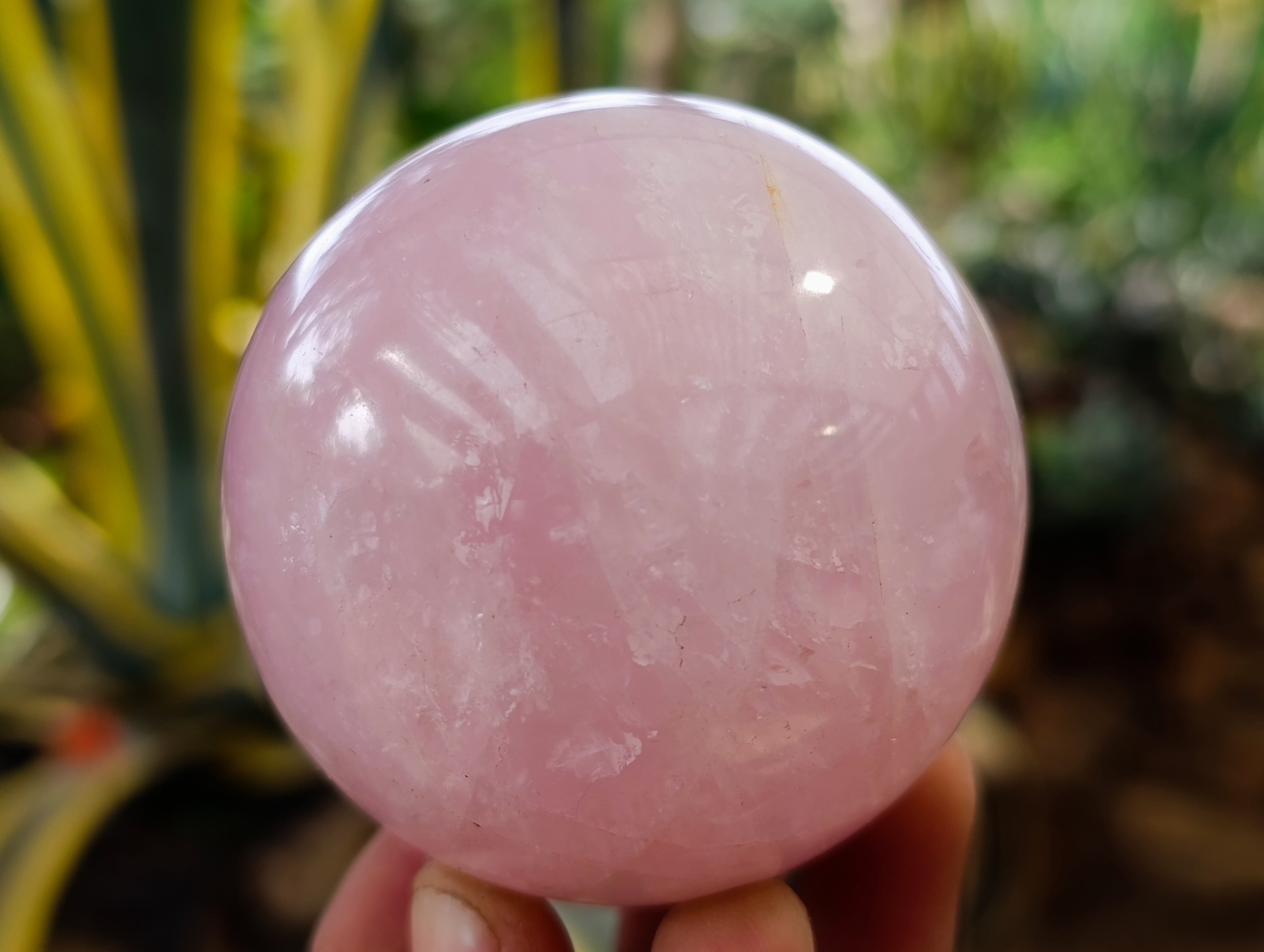 Polished Star Rose Quartz Spheres x 4 From Ambatondrazaka, Madagascar - Toprock Gemstones and Minerals 