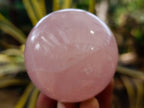 Polished Star Rose Quartz Spheres x 4 From Ambatondrazaka, Madagascar - Toprock Gemstones and Minerals 