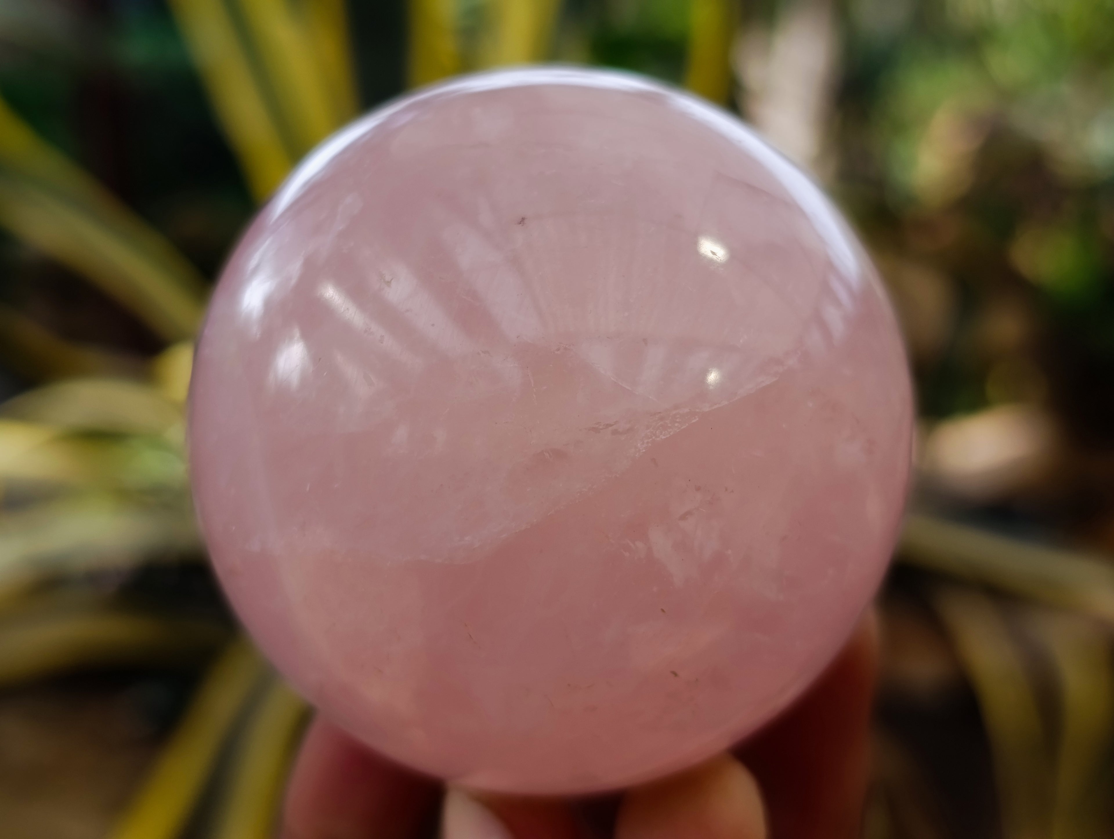 Polished Star Rose Quartz Spheres x 4 From Ambatondrazaka, Madagascar - Toprock Gemstones and Minerals 